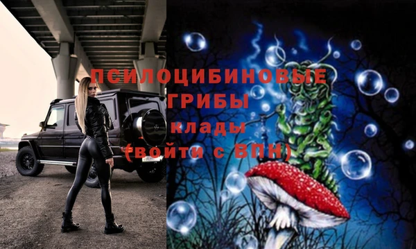 мет Пересвет