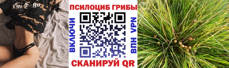 Галлюциногенные грибы Magic Shrooms  Купить закладки  Зеленодольск 